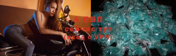 шишки Верхний Тагил