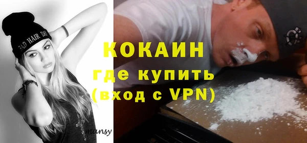 дживик Верея