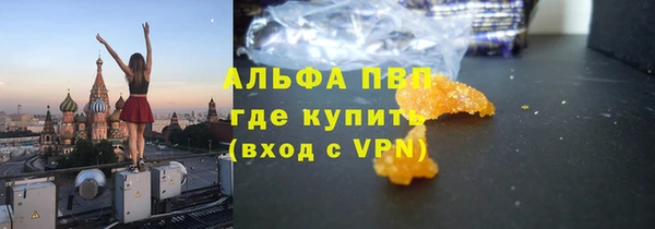 шишки Верхний Тагил