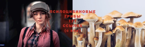 дживик Верея