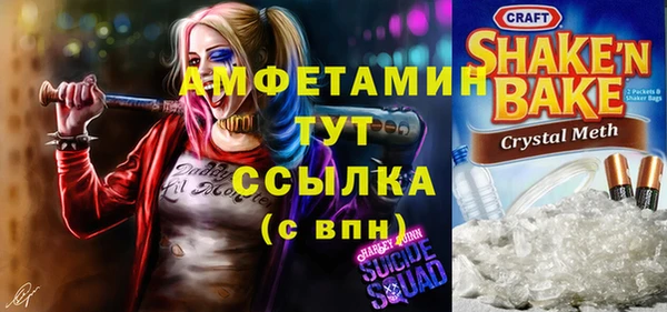шишки Верхний Тагил