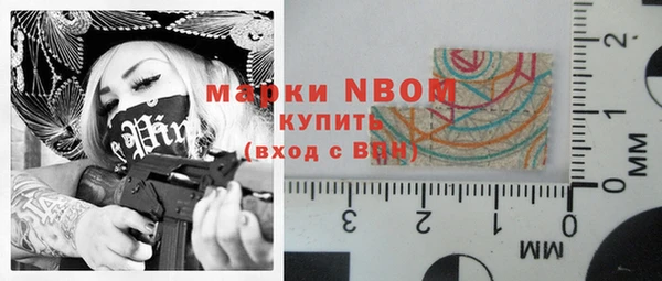 шишки Верхний Тагил