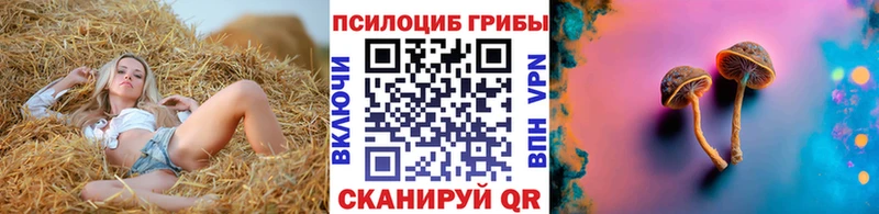 гидра онион  сколько стоит  Вологда  Псилоцибиновые грибы мухоморы 